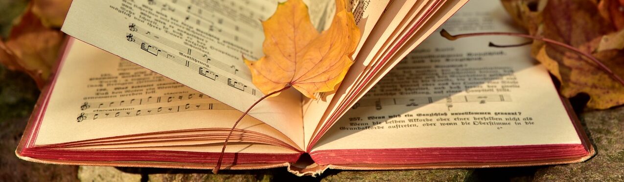 a book, fall, leaf-3755514.jpg